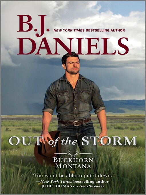 Title details for Out of the Storm by B.J. Daniels - Available